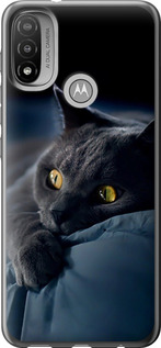 Чохол на Motorola E20 Димчастий кіт 825u-2509 (Сірий)