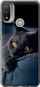 Чохол на Motorola E20 Димчастий кіт 825u-2509 (Сірий)