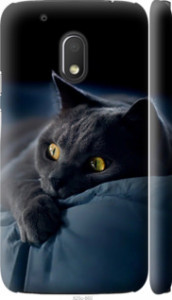 Чохол на Motorola Moto G4 Play Димчастий кіт 825m-860 (Сірий)