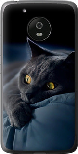 Чехол на Motorola Moto G5 Дымчатый кот 825u-832 (Серый)