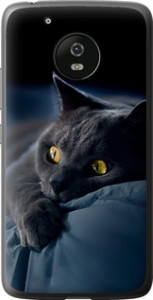 Чехол на Motorola Moto G5 Дымчатый кот 825u-832 (Серый)