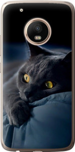 Чохол на Motorola Moto G5 PLUS Димчастий кіт 825t-1038 (Сірий)