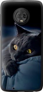 Чохол на Motorola Moto G6 Димчастий кіт 825u-982 (Сірий)