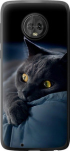 Чохол на Motorola Moto G6 Димчастий кіт 825u-982 (Сірий)