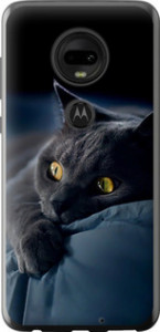 Чехол на Motorola Moto G7 Дымчатый кот 825u-1614 (Серый) для Motorola Moto G7 Plus