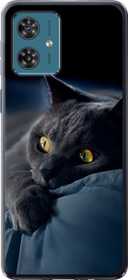 Чехол на Motorola Moto G54 Дымчатый кот 825u-3339 (Серый)