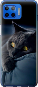 Чохол на Motorola Moto G Plus Димчастий кіт 825u-2202 (Сірий)