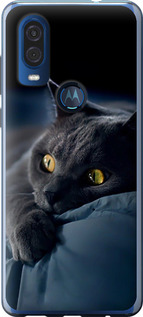 Чехол на Motorola One Vision Дымчатый кот 825u-1782 (Серый)