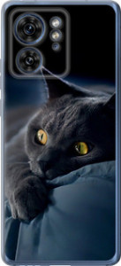 Чехол на Motorola Edge 40 Дымчатый кот 825u-3335 (Серый)