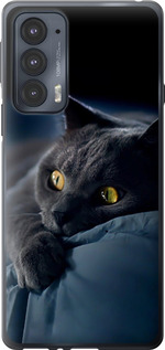 Чехол на Motorola Edge 20 Дымчатый кот 825u-2497 (Серый)