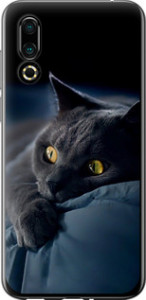 Чехол на Meizu 16S Дымчатый кот 825u-1701 (Серый)