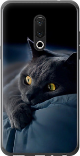 Чехол на Meizu 15 Plus Дымчатый кот 825u-1473 (Серый)