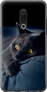 Чехол на Meizu 15 Plus Дымчатый кот 825u-1473 (Серый)