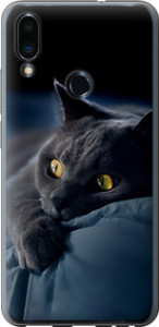 Чехол на Meizu Note 9 Дымчатый кот 825t-1689 (Серый)