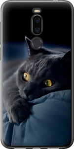 Чехол на Meizu X8 Дымчатый кот 825u-1601 (Серый)