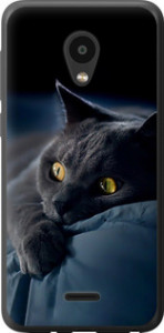 Чехол на Meizu C9 Дымчатый кот 825u-1627 (Серый)