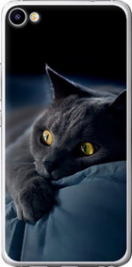 Чехол на Meizu U20 Дымчатый кот 825t-416 (Серый)
