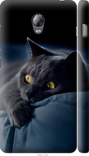 Чехол на Lenovo Vibe P1 Дымчатый кот 825m-152 (Серый)