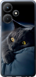 Чохол на Infinix Hot 30i Димчастий кіт 825u-3045 (Сірий)