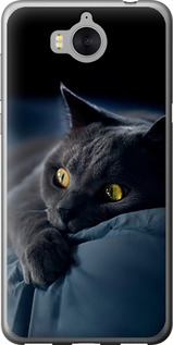 Чехол на Huawei Y5 2017 Дымчатый кот 825t-992 (Серый)