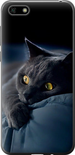 Чехол на Huawei Y5 2018 Дымчатый кот 825u-1500 (Серый)