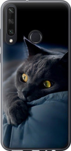 Чехол на Huawei Y6p Дымчатый кот 825t-1952 (Серый)