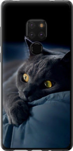 Чехол на Huawei Mate 20 Димчастий кіт 825t-1578 (Сірий)