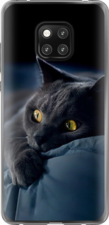 Чехол на Huawei Mate 20 Pro Димчастий кіт 825t-1567 (Сірий)