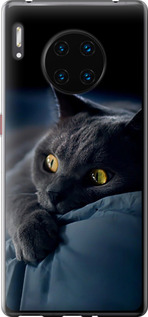 Чехол на Huawei Mate 30 Pro Димчастий кіт 825u-1796 (Сірий)