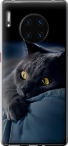 Чехол на Huawei Mate 30 Pro Димчастий кіт 825u-1796 (Сірий)