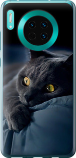 Чохол на Huawei Mate 30 Димчастий кіт 825u-1773 (Сірий)