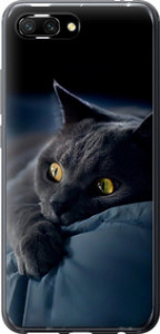 Чехол на Huawei Honor 10 Дымчатый кот 825u-1496 (Серый)