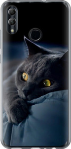 Чохол на Huawei Honor 10 Lite Димчастий кіт 825u-1618 (Сірий)