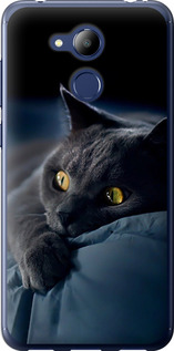 Чохол на Huawei Honor 6C Pro Димчастий кіт 825u-1358 (Сірий)