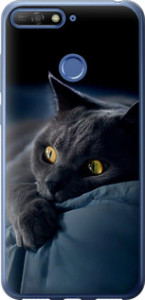 Чехол на Huawei Honor 7C Дымчатый кот 825t-1411 (Серый)