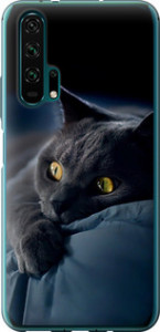 Чохол на Huawei Honor 20 Pro Димчастий кіт 825u-1702 (Сірий)
