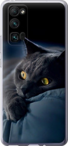 Чехол на Huawei Honor 30 Pro Дымчатый кот 825u-1920 (Серый)