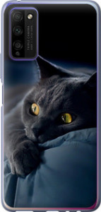 Чехол на Huawei Honor 30 Lite Дымчатый кот 825u-2074 (Серый)