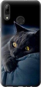Чохол на Huawei P Smart 2019 Димчастий кіт 825t-1634 (Сірий)