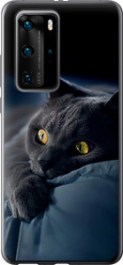 Чохол на Huawei P40 Pro Димчастий кіт 825t-1839 (Сірий)