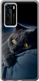 Чохол на Huawei P40 Димчастий кіт 825u-1840 (Сірий)