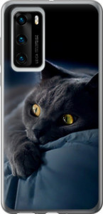 Чохол на Huawei P40 Димчастий кіт 825u-1840 (Сірий)
