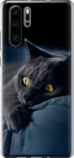 Чехол на Huawei P30 Pro Дымчатый кот 825t-1621 (Серый)