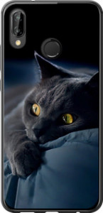 Чохол на Huawei P20 Lite Димчастий кіт 825t-1410 (Сірий)