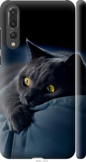 Чохол на Huawei P20 Pro Димчастий кіт 825m-1470 (Сірий)
