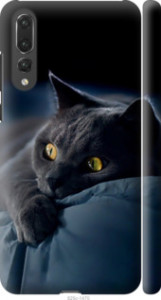 Чохол на Huawei P20 Pro Димчастий кіт 825m-1470 (Сірий)