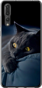 Чохол на Huawei P20 Pro Димчатий кіт 825t-1470 (Сірий)