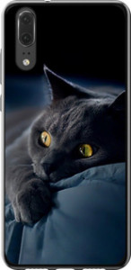 Чохол на Huawei P20 Димчатий кіт 825u-1396 (Сірий)
