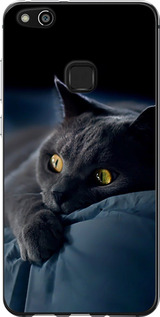 Чехол на Huawei P10 Lite Дымчатый кот 825u-896 (Серый)