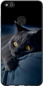 Чехол на Huawei P10 Lite Дымчатый кот 825u-896 (Серый)